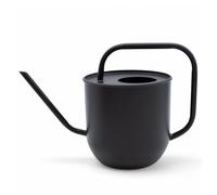 Arrosoir à fleurs en métal noir mat - 1,8 l - Arrosoir avec long bec - Plante de cannelle pour bureau élégante