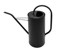 Arrosoir à fleurs en métal noir mat - 3 l - Arrosoir avec long bec - Plante de cannelle - Pour bureau - Élégant