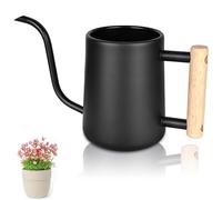 Arrosoir, Arrosoir en Acier Inoxydable 1L, Petit Arrosoir pour Plantes Extérieures, Arrosoir Plante Interieur avec Long Bec et Poignée en Bois, pour Plantes Extérieures, Plantes Succulentes (Noir)