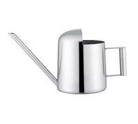 Arrosoir, arrosoir en Acier Inoxydable 300/500mL Ménage Arrosage Outil de Jardinage Pot à Grande Bouche saupoudrant(300ML)