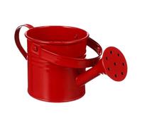 Arrosoir - Árrosoir, Pot D'arrosage pour en Fer Galvanisé, Arrosoirs De Jardin Vintage, Àrrosoir Décoratif, Récipient Ď'árrosage Ďe Fleurs, Aquatique Facilement V́intage, Jardins Đe Cha