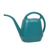 Arrosoir de capacité de 4 l avec long bec - Bouilloire pour plantes de jardin d'intérieur et d'extérieur