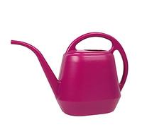 Arrosoir de capacité de 4 l avec long bec Bouilloire pour plantes de jardin d'intérieur et d'extérieur