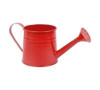 Arrosoir de jardin de 1 L avec long bec, seau d'arrangement floral en métal, idéal pour le jardinage extérieur/intérieur, vases élégants, rose/rouge/jaune/bleu