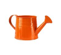 Arrosoir de Jardin en Métal1L, Petit arrosoir pour Plantes d'intérieur, Arrosoirs Enfant Léger avec Bec Douchette et Poignée, Outils de Jardinage pour Fleurs, Les Plantes Succulentes (Orange)