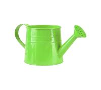 Arrosoir de jardinage léger en métal de 1 L pour enfants, mini bouilloire pour bonsaï, plantes en pot, maison, jardin, balcon, extérieur et intérieur (vert)