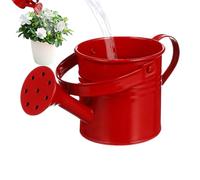 Arrosoir décoratif - 17,8 cm - Fer galvanisé - Accessoire de jardinage pour cour, balcon, terrasse, pelouse, cadeau pour amis, famille, extérieur