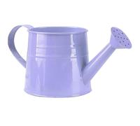 Arrosoir décoratif en métal pour Plantes d'intérieur, 1 l, Petit Pot de Fleurs galvanisé, arrosoir pour Plantes de Jardin, Pot d'arrosage Violet pour 'intérieur