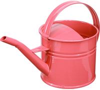 Arrosoir décoratif en métal Rose Pot de fleurs 1,25l Intérieur Extérieur Balcon
