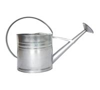 Arrosoir décoratif - ESSCHERT DESIGN - 62,5 cm - Zinc - 10 litres - Gris argenté