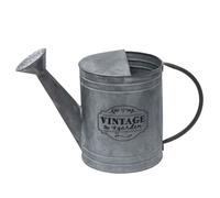 Arrosoir décoratif vintage Garden 40 x 19 x 26 cm Zinc gris - Théière décorative Théière à fleurs