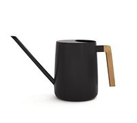 Arrosoir d'intérieur avec Long Bec - Arrosoir Noir pour Plantes d'intérieur - Joli arrosoir d'intérieur - Petit arrosoir pour Plantes d'intérieur - Arrosoir pour Plantes d'intérieur - Arrosoir pour