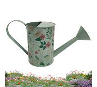 Arrosoir d'intérieur avec long bec d'arrosage décoratif vintage, 2 L, arrosoir floral en métal, décoration de terrasse, pour fleurs, pot de fleurs, maison, jardin, cour, allée, ferme, patio