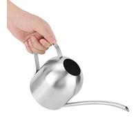 Arrosoir d'intérieur en Acier Inoxydable pour Plantes d'extérieur Jardin Fleur à Bec Long Arrosoir d'intérieur pour Jardin de Patio(1000ML)