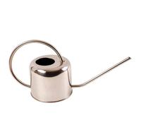 Arrosoir d'intérieur en inox 1 litre