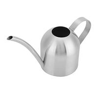 Arrosoir D'intérieur, Pot D'arrosage à Long Bec en Acier Inoxydable, Pichet D'arrosage pour Plantes D'intérieur, Jardin Extérieur (1000ML)