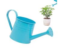Arrosoir d'Intérieur Vase à Fleurs de 1 Litre, Petit Pot de