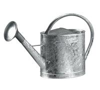 ARROSOIR EN ACIER GALVANISE 13 LITRES AVEC POMME FORGES DE MAGNE - 388412