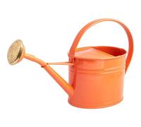 Arrosoir en acier galvanisé avec pomme 1.75 litres
