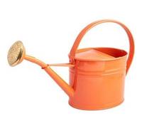 Arrosoir en acier galvanisé avec pomme 1.75 litres rouge corail G