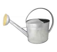 Arrosoir en acier galvanisé avec pomme et grille en laiton 13 litres