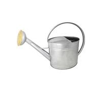 - Arrosoir en acier galvanisé avec pomme et grille en laiton 13 litres