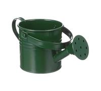 Arrosoir en fer galvanisé, pot d'arrosage vintage pour plantes, récipient de fleurs décoratif de 1,5 l avec poignée pour jardin, terrasse, pelouse, fêtes de jardin et décoration d'intérieur extérieure