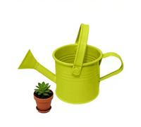 Arrosoir en métal galvanisé avec long bec - Arrosoir étanche intérieur/extérieur - Mini arrosoir résistant à la rouille pour plantes d'intérieur, balcon, jardin et parterres de fleurs - Design compact