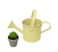 Arrosoir en métal galvanisé avec long bec - Arrosoir étanche intérieur/extérieur - Mini arrosoir résistant à la rouille pour plantes d'intérieur, balcon, jardin et parterres de fleurs Design compact