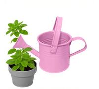 Arrosoir en métal galvanisé avec long bec - Arrosoir étanche intérieur/extérieur - Mini arrosoir résistant à la rouille pour plantes d'intérieur, balcon, jardin et parterres de fleurs Design compact