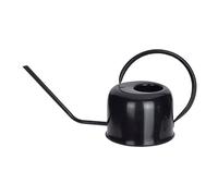 Arrosoir en métal noir 1L pour plantes d'intérieur Arrosoir à fleurs 1 litre