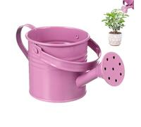 Arrosoir en Métal pour Enfant, Arrosoir De Jardin Petit Pot d'eau De Jardinage avec Poignée pour Jardin, Terrasse, Pelouse