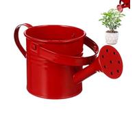 Arrosoir en Métal pour Enfant, Arrosoir De Jardin Petit Pot d'eau De Jardinage avec Poignée pour Jardin, Terrasse, Pelouse