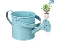 Arrosoir en Métal pour Enfant, Arrosoir De Jardin Petit Pot d'eau De Jardinage avec Poignée pour Jardin, Terrasse, Pelouse