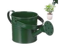 Arrosoir en Métal pour Enfant, Arrosoir De Jardin Petit Pot d'eau De Jardinage avec Poignée pour Jardin, Terrasse, Pelouse
