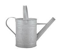 Esschert Design Arrosoir Fallen Fruits Vieux zinc patiné 1,5 L