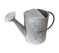 Arrosoir galvanisé - Arrosoir en zinc - Verseuse en métal - Arrosage de jardin - Vintage - 5 litres