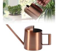 Arrosoir HOMURY 300 ml pour Plantes d'Intérieur - Mini Arrosoir en Acier Inoxydable avec Long Col en Métal pour Plantes en Pot et Suspendues