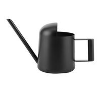 Arrosoir Interieur, 300 ML Arrosoir Jardin Metal Arosoires Extérieur Arrosoir Enfant Plantes à Long Bec en Acier Inoxydable pour Plantes Intérieur et Plantes Succulentes (Noir)