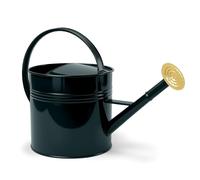 Arrosoir ovale en fer galvanisé doré pour plantes d'intérieur et fleurs de jardin, arrosoir avec long bec pour arroser les plantes en plein air 9,46 l