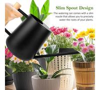 Arrosoir Plante Interieur,1L Arrosoir en Acier Inoxydable,Arrosoir Jardin avec Long Bec et Poignée en Bois,Petit Arrosoir pour Plantes d'intérieur Extérieur