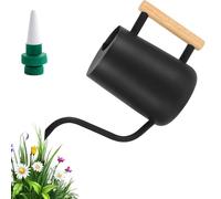 Arrosoir Plante Interieur, 1L Arrosoir en Acier Inoxydable, Arrosoir Jardin avec Long Bec et Poignée en Bois, Petit Arrosoir pour Plantes d'intérieur Extérieur Fleurs Plante de Jardin