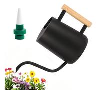 Arrosoir Plante Interieur, 1L Petit Arrosoir de Jardin, Arrosoir en Acier Inoxydable avec Long Bec et Poignée en Bois, pour Arroser Les Petites Plantes en Pot et D'intérieur