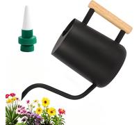 Arrosoir Plante Interieur,1L Petit Arrosoir de Jardin,Arrosoir en Acier Inoxydable avec Long Bec et Poignée en Bois,pour Arroser Les Petites Plantes en Pot et D'intérieur