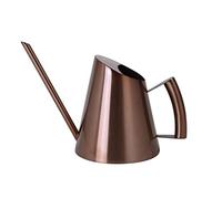 Arrosoir Plante Interieur Arrosoir Pour Plantes D'intérieur Arrosoir En Acier Inoxydable Outils De Jardinage Rétro Pour La Maison Arrosoir Bonsaï Arrosoir Arrosoir ( Color : Bronzed , Size : 16*12.8*1
