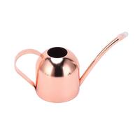 Arrosoir portable à long bec en acier inoxydable de 20 à 450 ml, bouilloire pour jardin