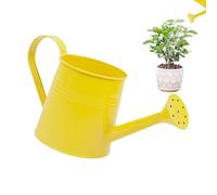 Arrosoir pour | Arrosoir de 1 Litre pour d'intérieur et d'extérieur - Seau d'arrangement Floral - Bec verseur pour Anneau d'eau précis - Pot de Fleurs en métal léger avec poignée