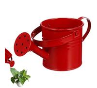 Arrosoir pour,Arrosoirs Galvanisés pour d'Extérieur | Décoratif, Pot De Fleurs avec Poignée - pour Jardin, Terrasse, Pelouse - Idée Cadeau Familial Amical