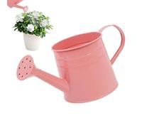 Arrosoir pour - Bidon d'eau À Bec Long De 1 L, Pot De Fleurs en Métal, Seau pour Arrangement Floral, Mini Arroseur Galvanisé | Outil De Jardinage en Fer, Pichet Verseur D'intérieur D
