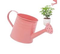 Arrosoir pour - Bouilloire de Jardin de 1 L avec Long Bec en Fer | Petit Seau à Arrangement Floral en Fer pour intérieur et extérieur et décoration de la Maison